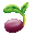 Apple Seed