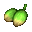 Areca
