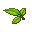 Bay Leaves