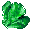 Big Fruit Leaf