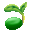 Cantaloup Seed
