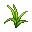 Common Grass
