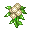 Cotton