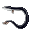 Eel