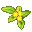 Golden Flower