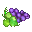 Grape