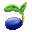 Grape Seed