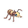 Ant