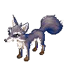 Blue Fox