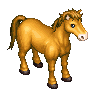 Bully Wild Horse