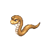 Bush Snake