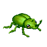 Green Beetle