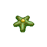 Echinate Starfish