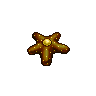 Echinate Starfish