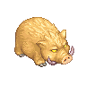 Fat Pig