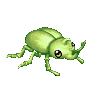 Golden Beetle