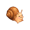Hard Shell Snail
