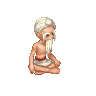 Indian Monk