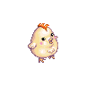 Irrigated Chicken