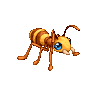 Little Ant