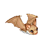 Little Bat