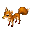Little Fox