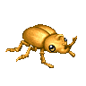 Little Steel Beetle