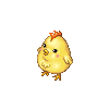 Old Hen