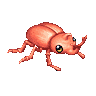 Orange Beetle