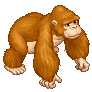 Orangutang