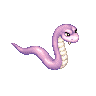 Poisonous Snake