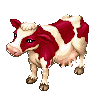 Red Dairy Cattle