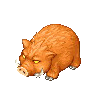 Red Pig