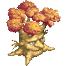 Senior Banyan Devil