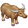 Slow-witted Buffalo