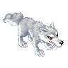 Snow Wolf