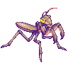 Water Mantis