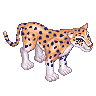 White Leopard