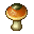 Brazil Mushroom