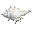 Conch Shell