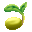 Pineapple Seed