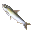 Sardine