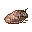 Taro