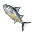 Tuna