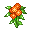 Yaro Safflower